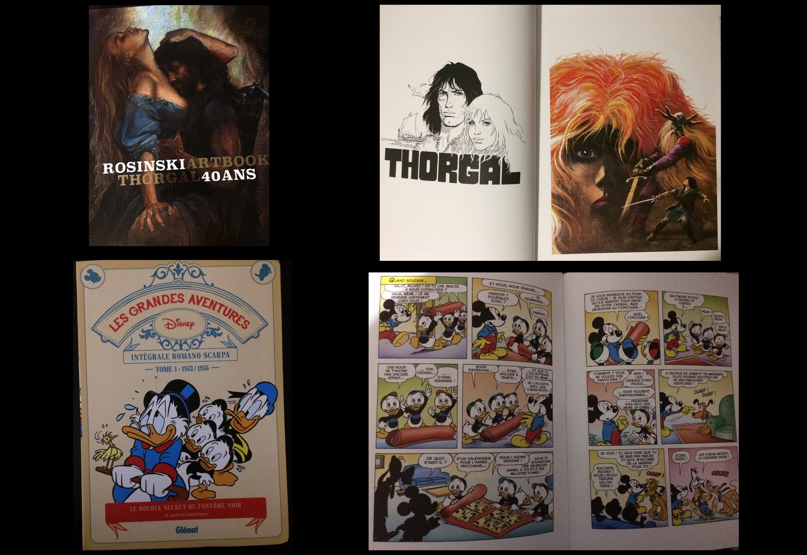 Artbook Rosinski Thorgal 40 ans (Le Lombard) et Les Grandes aventures Disney (Glénat).