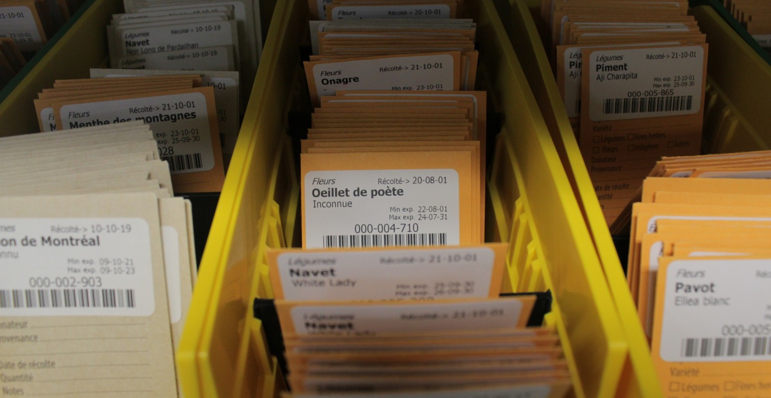 La grainothèque de la bibliothèque Le Prévost à Montréal a un stock d'environ 2100 enveloppes de semences. ©AL